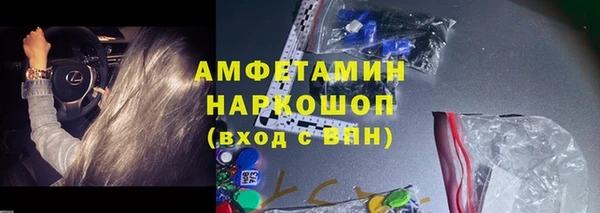 сатива Коряжма
