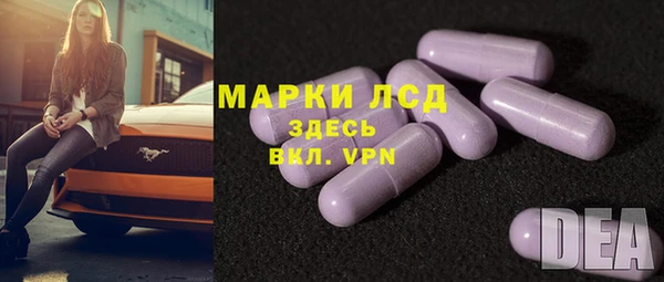 сатива Коряжма