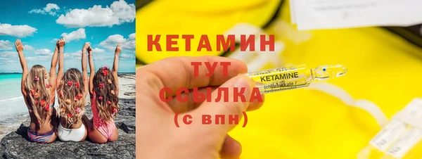 сатива Коряжма