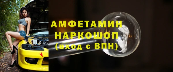 сатива Коряжма
