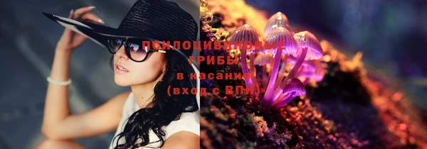 дмт Корсаков