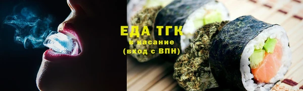 сатива Коряжма