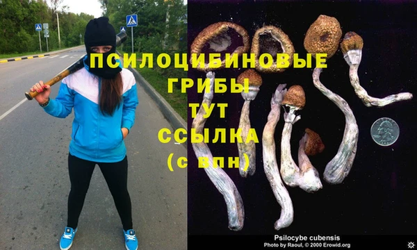 дмт Корсаков