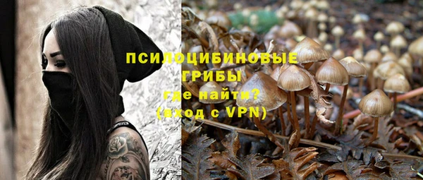 mdpv Костерёво