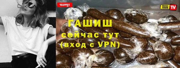 сатива Коряжма
