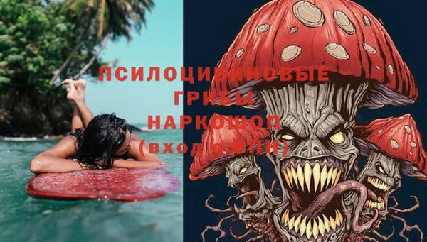 mdpv Костерёво