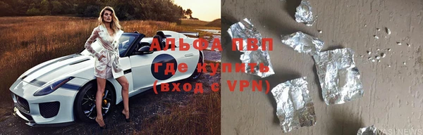 сатива Коряжма