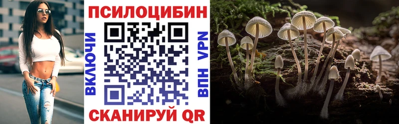 Галлюциногенные грибы Cubensis  Купить  Нолинск 